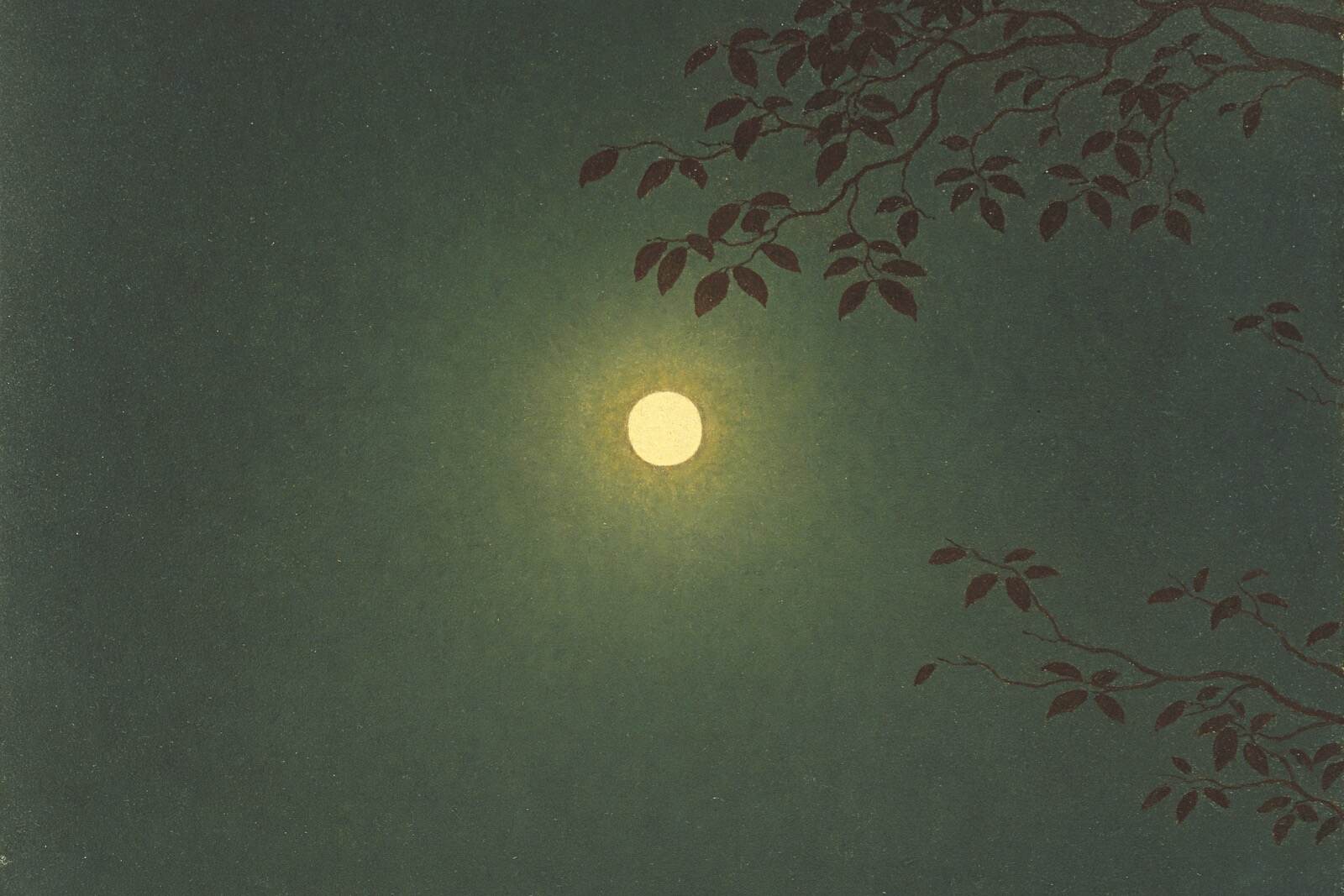 “徹底的な写実表現”洋画家・髙島野十郎の展覧会が千葉県立美術館で、「蝋燭」「月」代表作など約150点