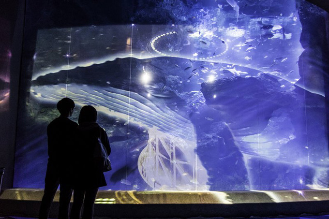 東京・すみだ水族館の煌めくクラゲ万華鏡トンネルが常設に - 大水槽のプロジェクションマッピングも延長 | 写真