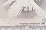 「こうの史代展」千葉・佐倉市立美術館で、「この世界の片隅に」など500点以上の漫画原画を展示｜写真8