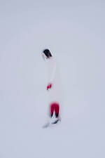 マメ クロゴウチ“優雅に曲線描く”マーブル模様ドレス＆グラデカラーのニットドレスなど｜写真5