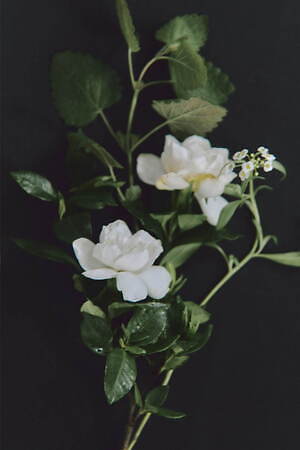 ミュベール(MUVEIL) 2026年リゾートウィメンズコレクション  - 写真21