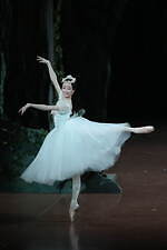 東京バレエ団『ラ・シルフィード』東京で5年ぶりに上演 - 人間と妖精、叶わぬ恋を描いた名作｜写真2