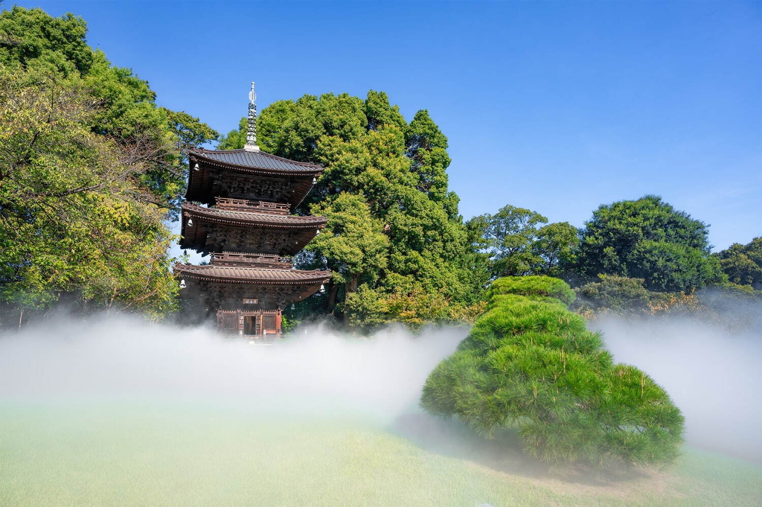 ホテル椿山荘東京で夏の庭園演出「涼風竹あかり」涼しげな竹まり装飾、日没後には幻想的な光が点灯｜写真3