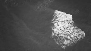 ナナミカ(nanamica) 2025-26年秋冬ウィメンズ&メンズコレクション  - 写真43