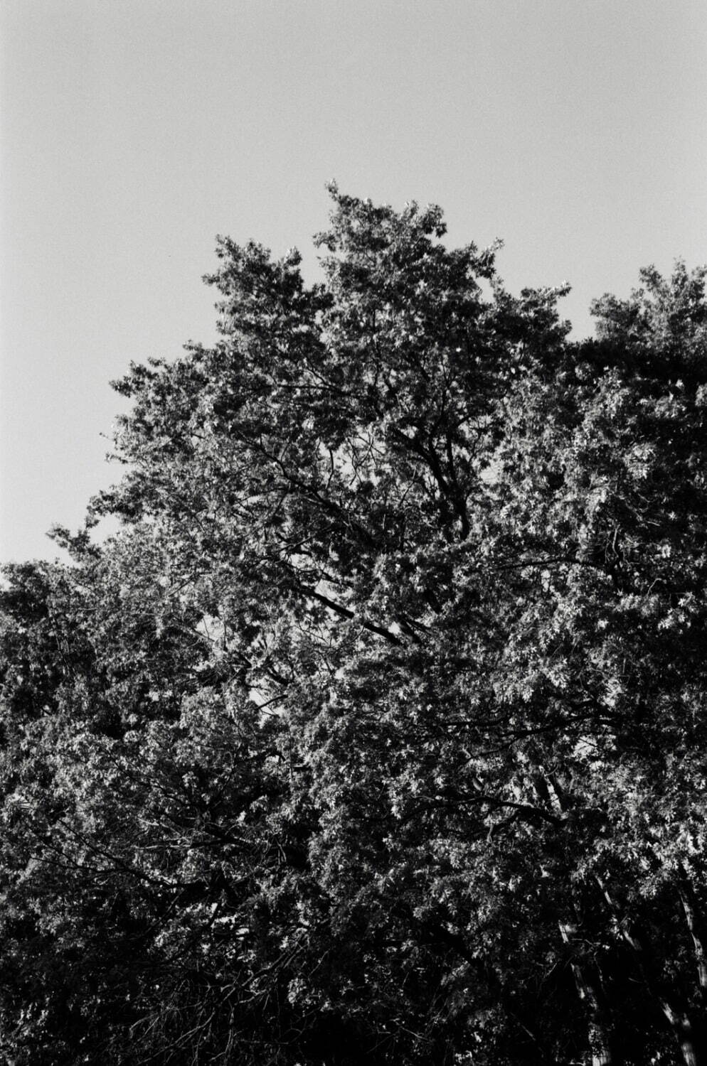 ティー・ティー 2026年春夏<span>コレクション</span> - 写真19