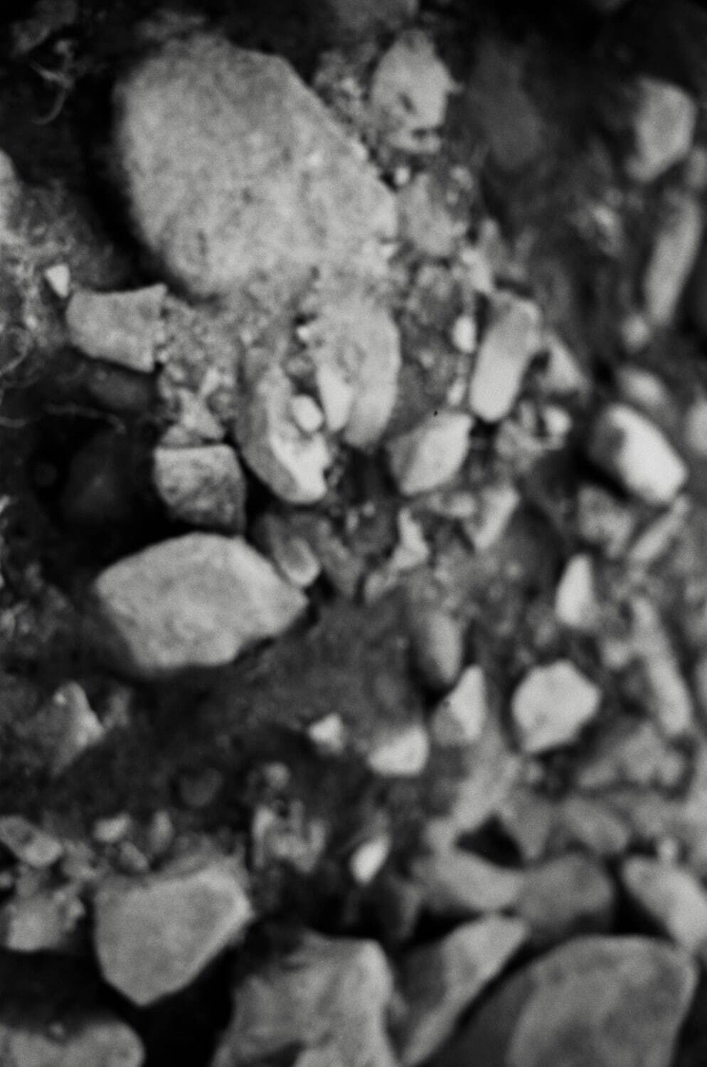 ティー・ティー 2026年春夏<span>コレクション</span> - 写真26