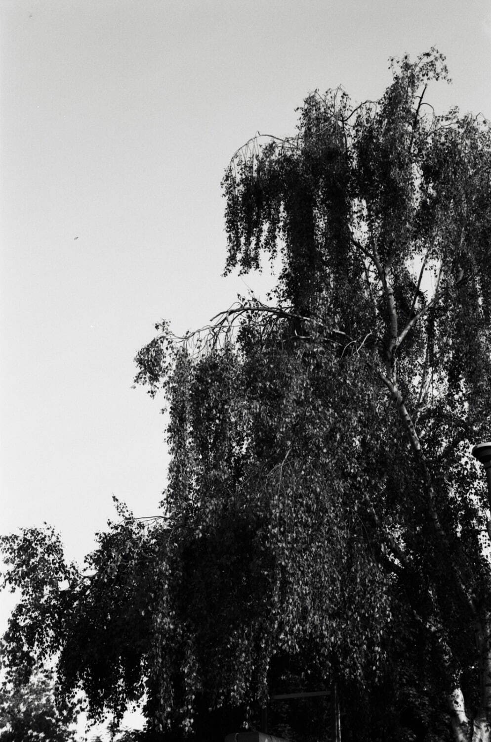 ティー・ティー 2026年春夏<span>コレクション</span> - 写真30