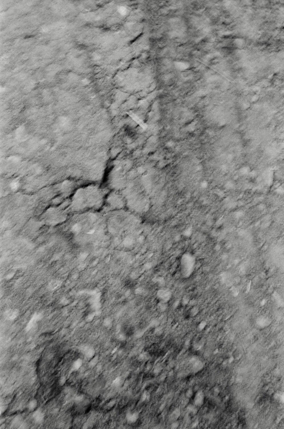 ティー・ティー 2026年春夏<span>コレクション</span> - 写真32