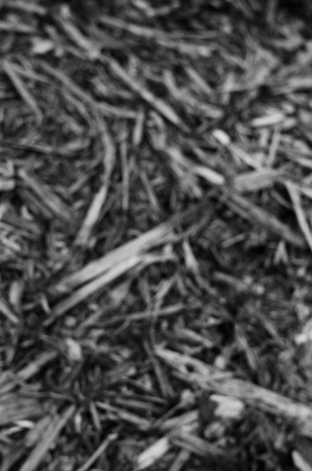 ティー・ティー 2026年春夏<span>コレクション</span> - 写真47