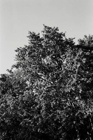 ティー・ティー(T.T) 2026年春夏メンズコレクション  - 写真19