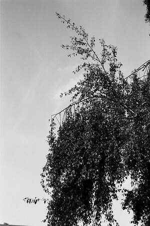 ティー・ティー(T.T) 2026年春夏メンズコレクション  - 写真29