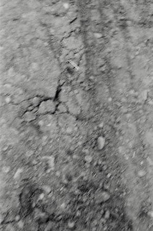 ティー・ティー(T.T) 2026年春夏メンズコレクション  - 写真32