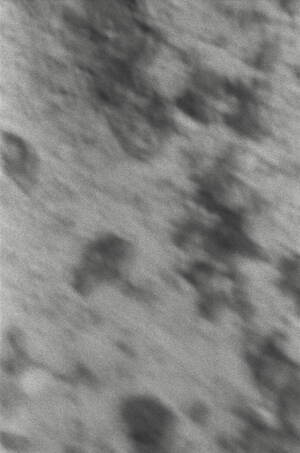 ティー・ティー(T.T) 2026年春夏メンズコレクション  - 写真46