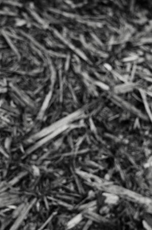 ティー・ティー(T.T) 2026年春夏メンズコレクション  - 写真47