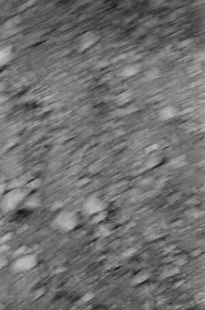 ティー・ティー(T.T) 2026年春夏メンズコレクション  - 写真49