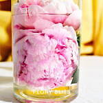 シロ(SHIRO) SHIROパフューム｜写真1