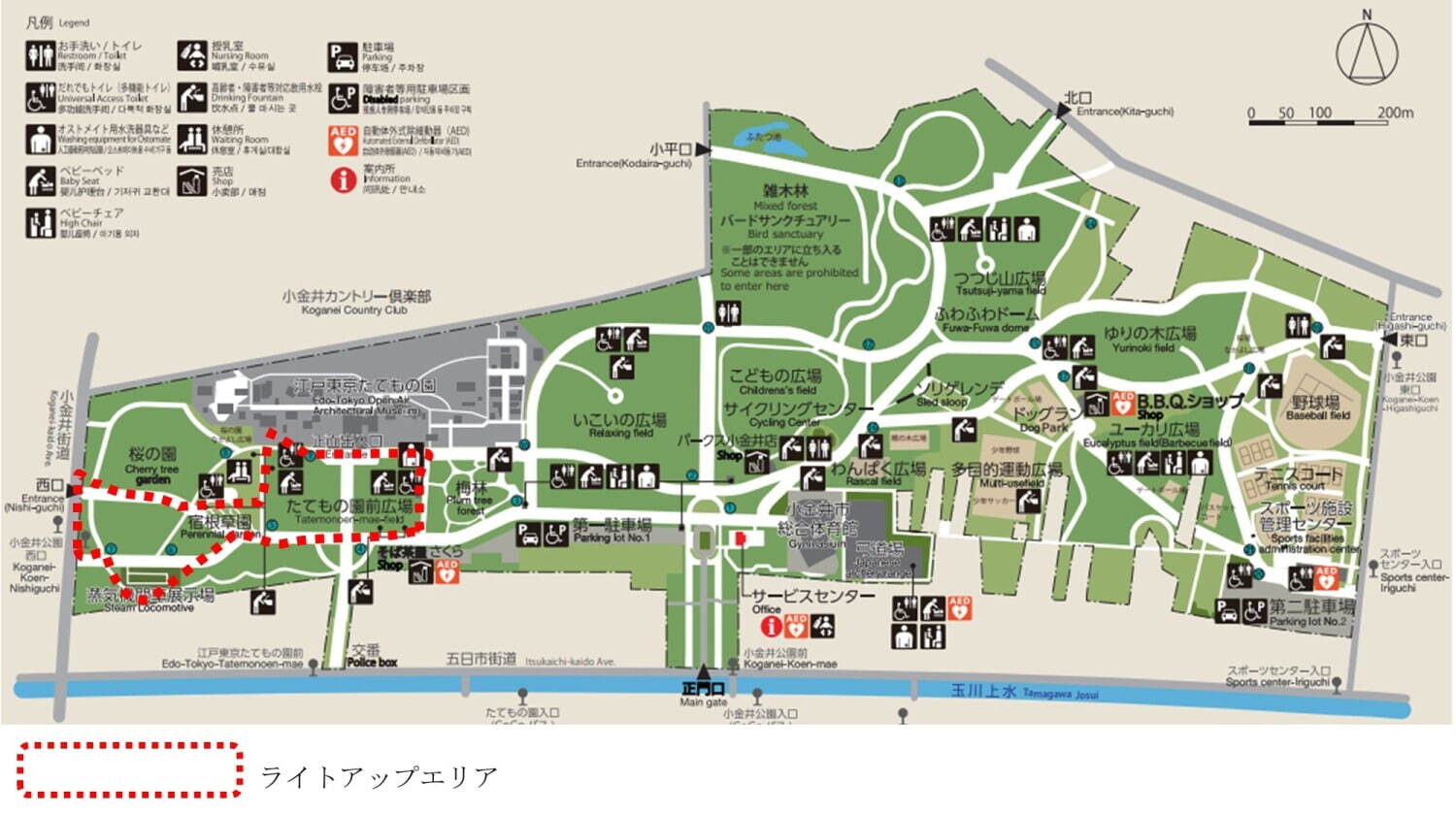 小金井公園「花と光のムーブメント」江戸から昭和へ、移り変わる時代の情緒を表現した夏のライトアップ｜写真7