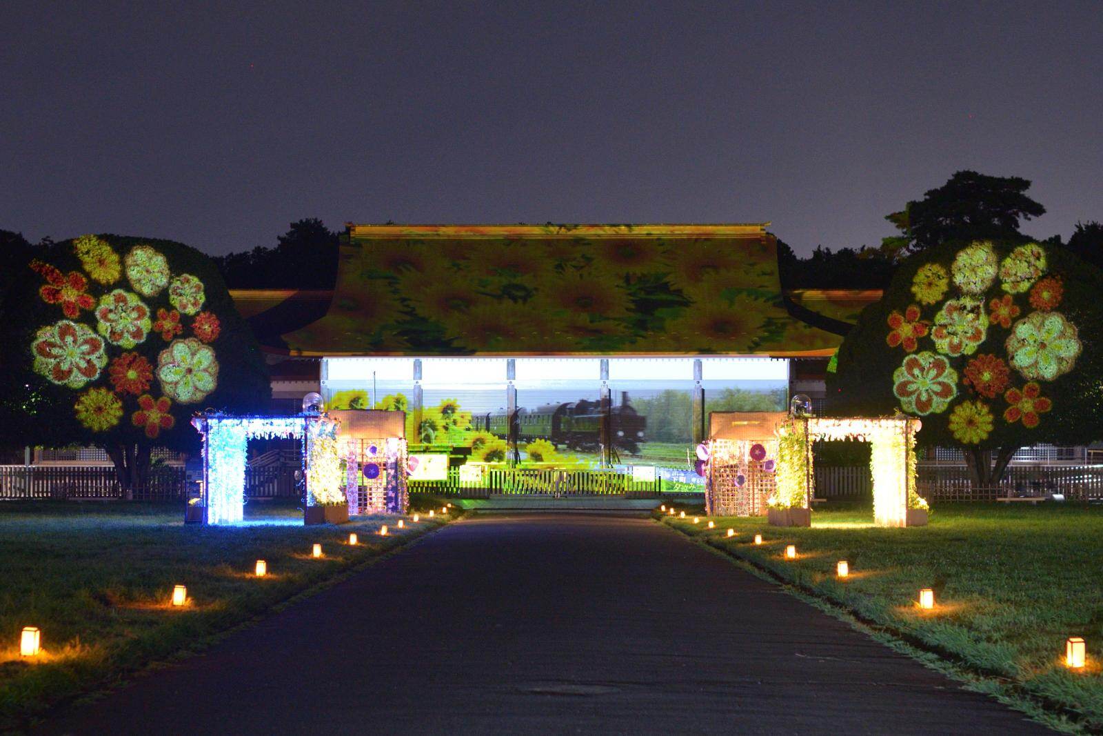 小金井公園「花と光のムーブメント」江戸から昭和へ、移り変わる時代の情緒を表現した夏のライトアップ｜写真24