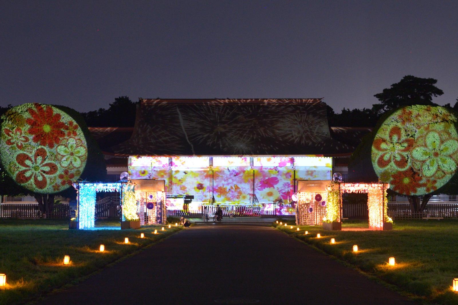 ライトアップ｜小金井公園「花と光のムーブメント」江戸から昭和へ、移り変わる時代の情緒を表現した夏のライトアップ