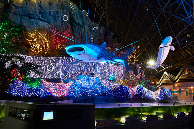 横浜・八景島シーパラダイスで「アクアナイト・ラバーズ」開催 - 海の生きもの、水、光の幻想的な共演｜写真3