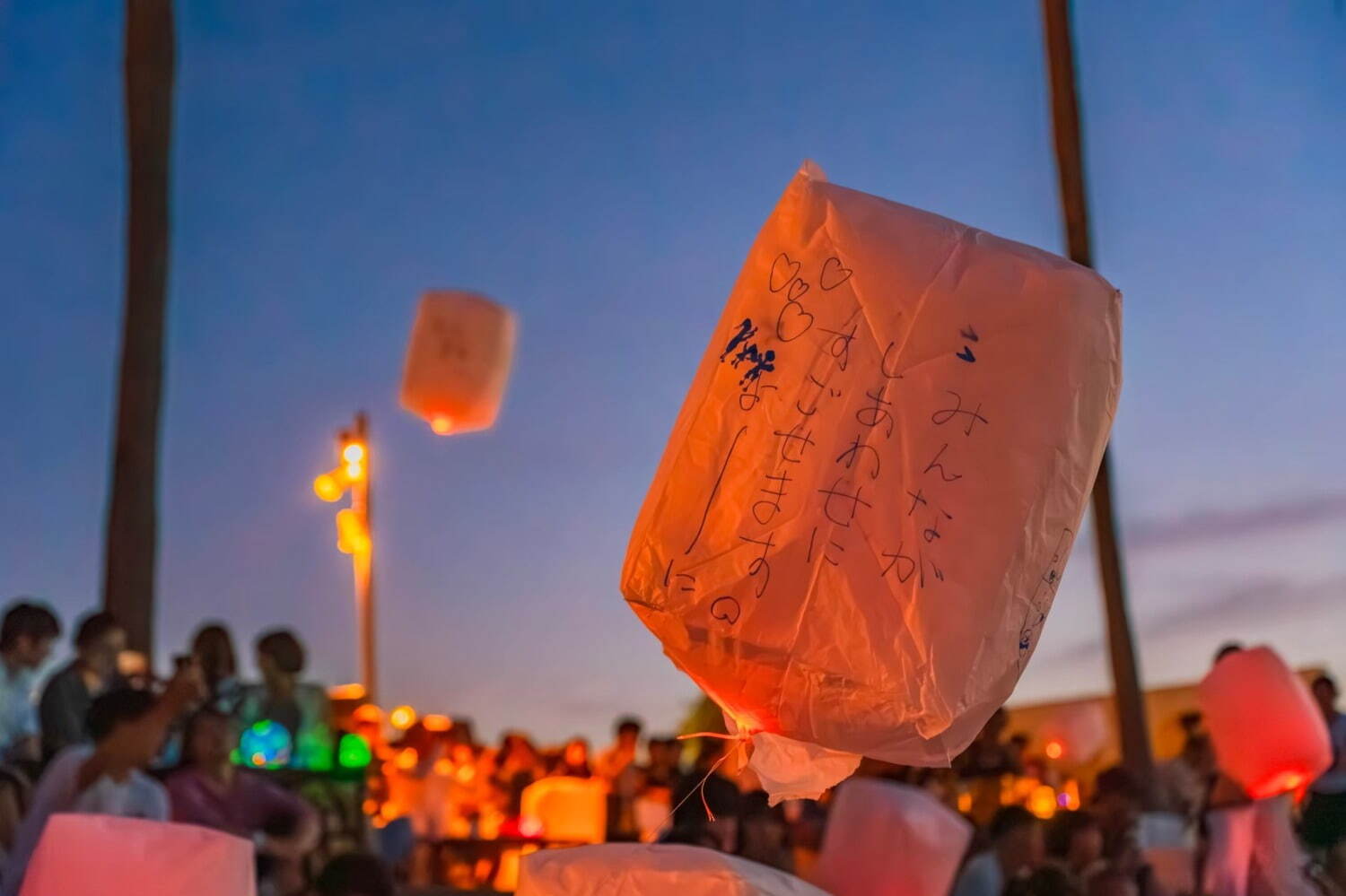 「泉州ビーチランタンフェス 2025」大阪・泉南ロングパークで開催、夜空を彩る数千のランタン｜写真2