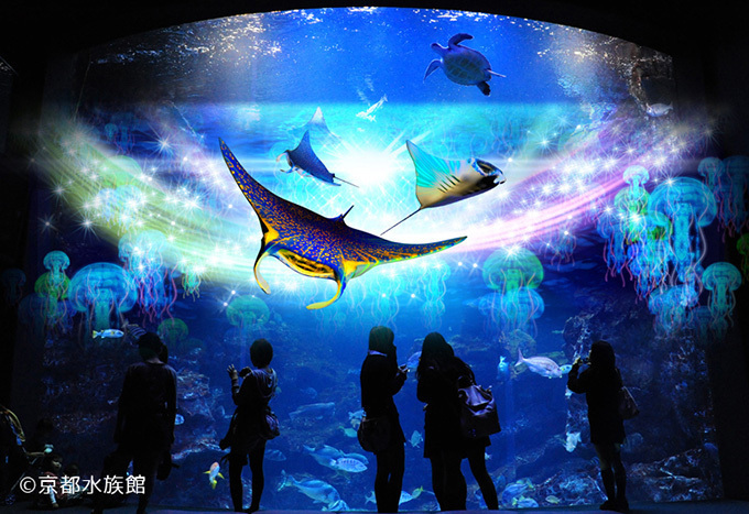 関西初！3Dで楽しむ冬限定「アクアリウム・ファンタジー」京都水族館で開催 | 写真
