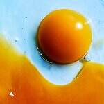 RADWIMPS あにゅー 筆舌 賜物｜写真6