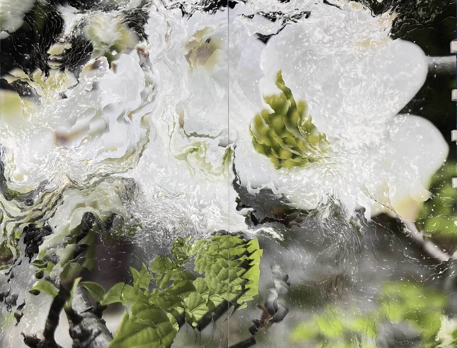 Nerhol 《Cornus florida linn》 2025年
©Nerhol Courtesy of Yutaka Kikutake Gallery