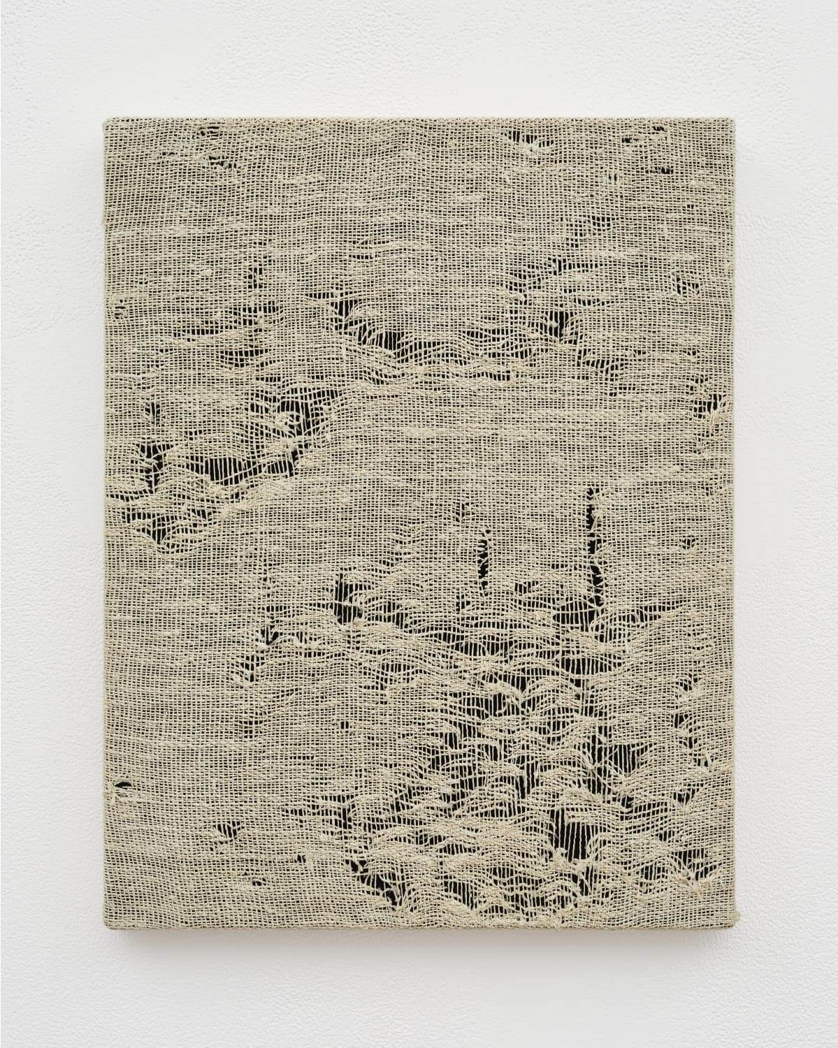 Nerhol 《Canvas (Oasa)》 2025年
©Nerhol Courtesy of Yutaka Kikutake Gallery