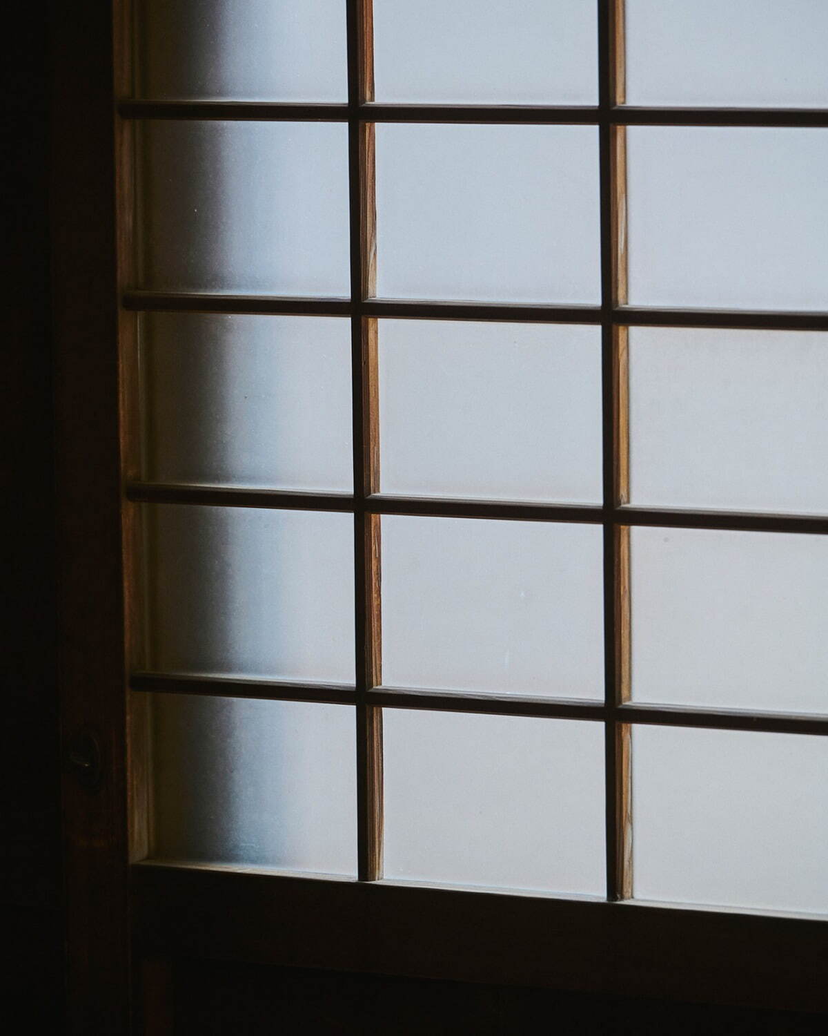 タンジェネット 2025-26年秋冬<span>コレクション</span> - 写真15