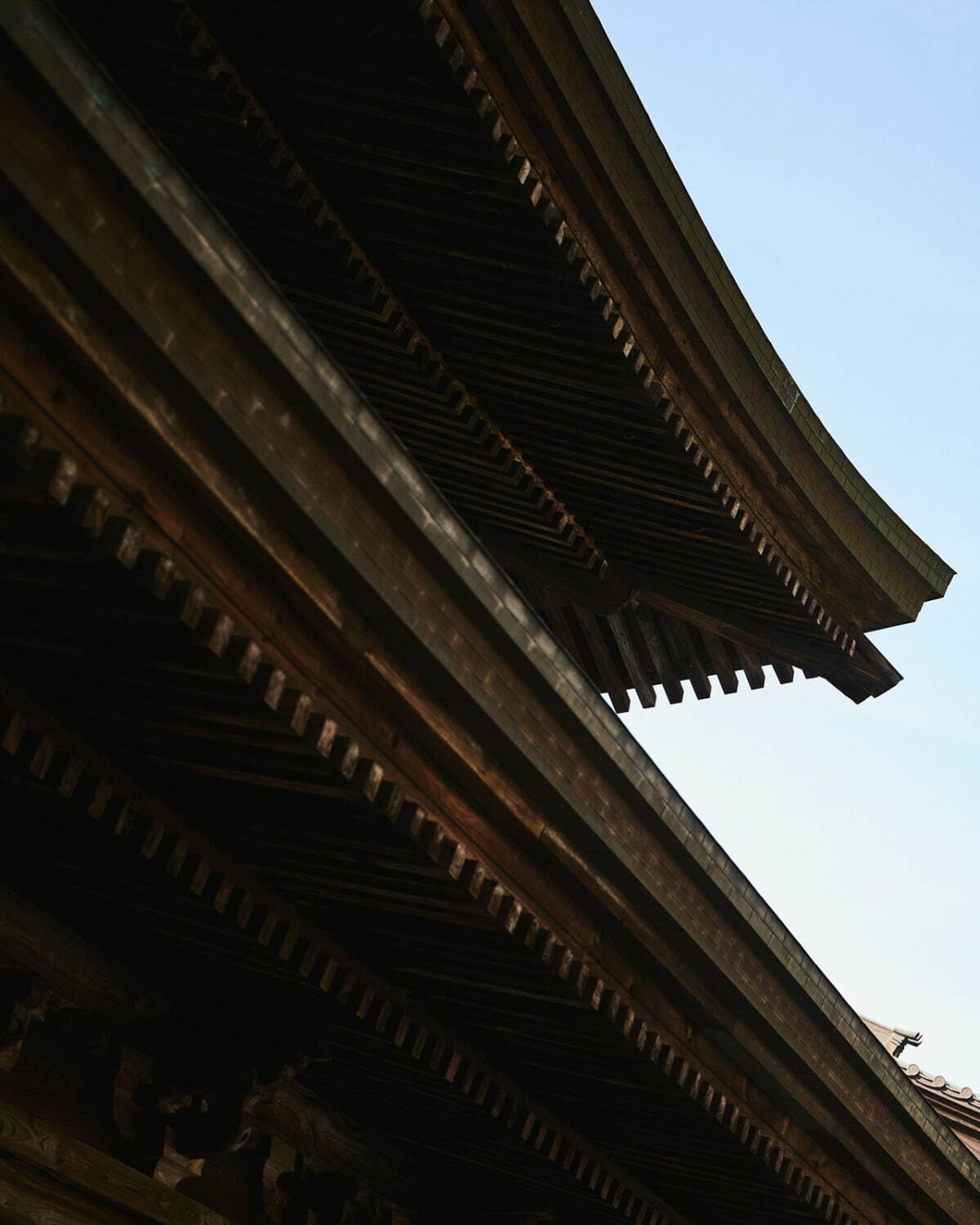 タンジェネット 2025-26年秋冬<span>コレクション</span> - 写真27