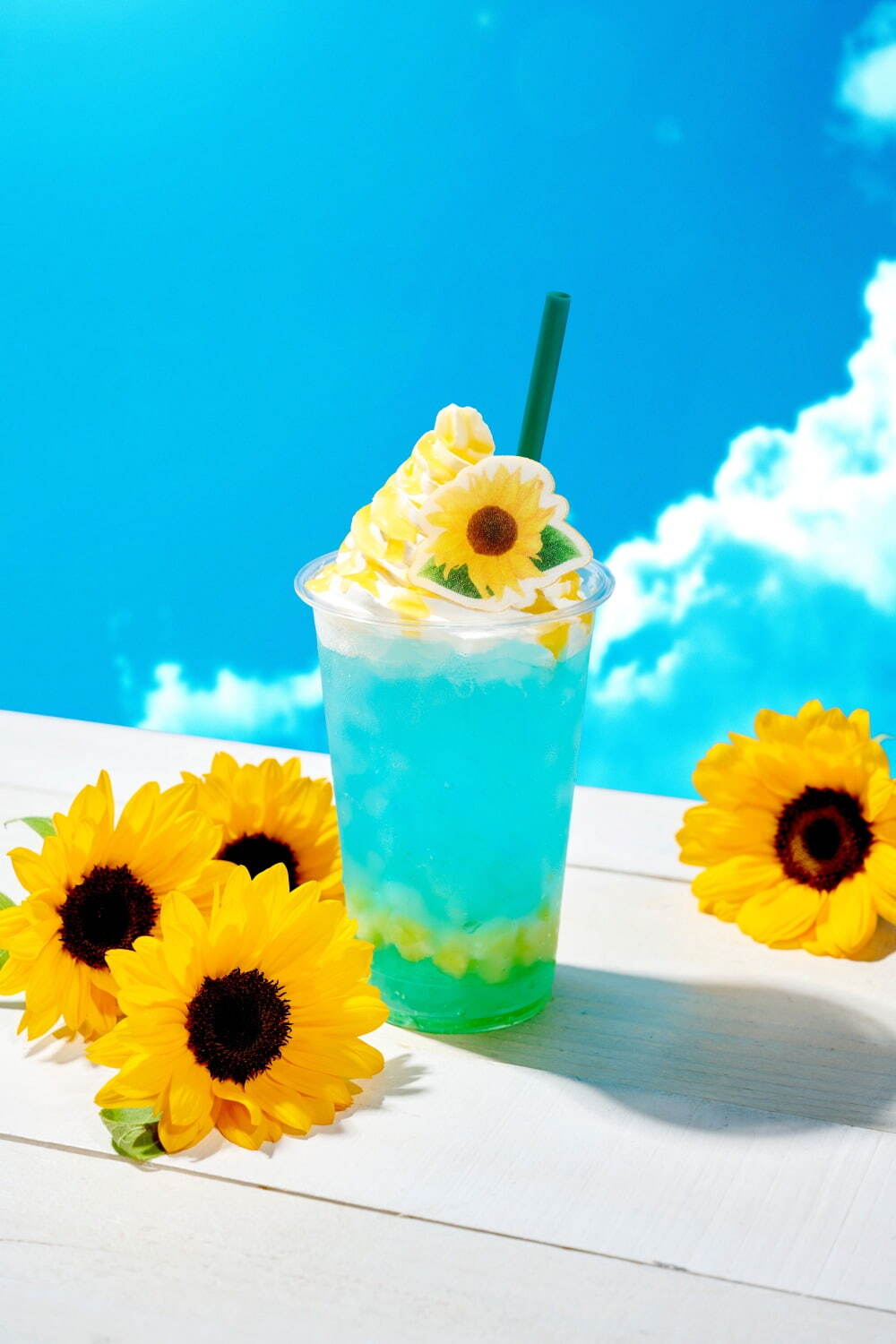 トロピカル サンフラワー 980円