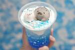 新江ノ島水族館の夏メニュー、“アザラシ親子”マシュマロが乗るライチソーダ＆イルカ型クッキーのサンデー