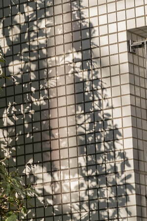 メゾンドリリス(La Maison de Lyllis) 2025-26年秋冬ウィメンズコレクション  - 写真19