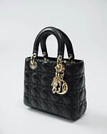 ディオール(DIOR) ディオール ブックトート｜写真29