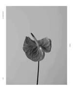 フィーニー 2025-26年秋冬コレクション、柔らかな抜け感のモノトーン｜写真1