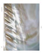 フィーニー 2025-26年秋冬コレクション、柔らかな抜け感のモノトーン｜写真14