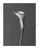 フィーニー 2025-26年秋冬コレクション、柔らかな抜け感のモノトーン｜写真24