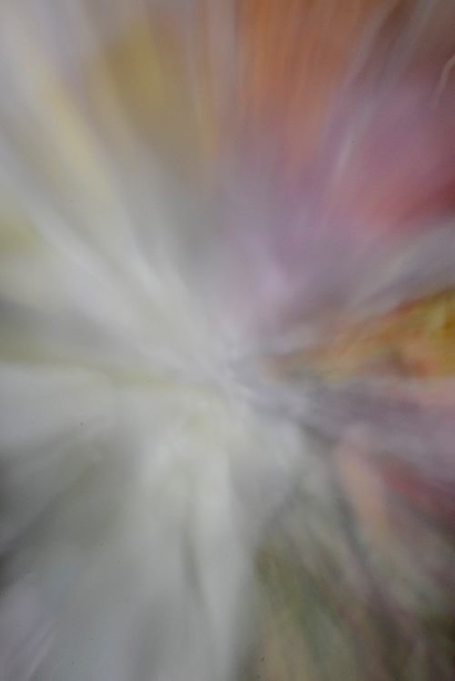 リトゥン バイ 2015年春夏<span>コレクション</span> - 写真52