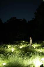 チームラボ ボタニカルガーデン 大阪“環境や人に反応・変容”する作品《風と共に踊る柱群》公開｜写真11