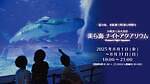 沖縄美ら海水族館の夏イベント「美ら海ナイトアクアリウム」営業時間を21時まで延長｜写真1