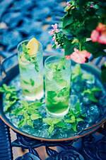 神戸布引ハーブ園のひまわり畑、洋風古城のイルミネーション＆夜景眺めるテラスバーも｜写真18