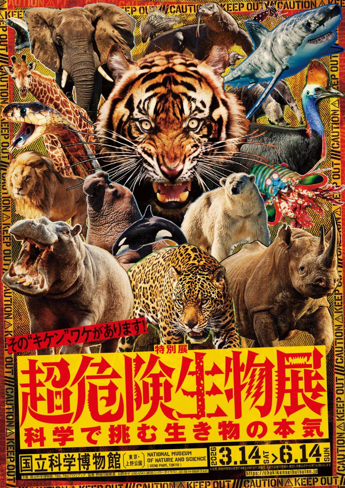 「超危険生物展」東京・国立科学博物館で26年春開催、自然界を生き抜く“必殺技”に迫る｜写真1