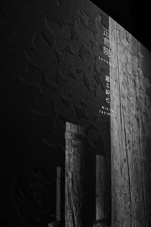 瀧本幹也の写真集『正倉院』“暗闇に浮かびあがる正倉院”モノクロームで捉えた写真を収録｜写真7