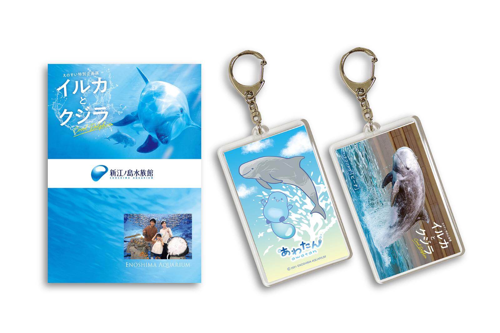 新江ノ島水族館”イルカ＆クジラ”主役の夏イベント、びしょ濡れショーや実寸大バルーン｜写真14