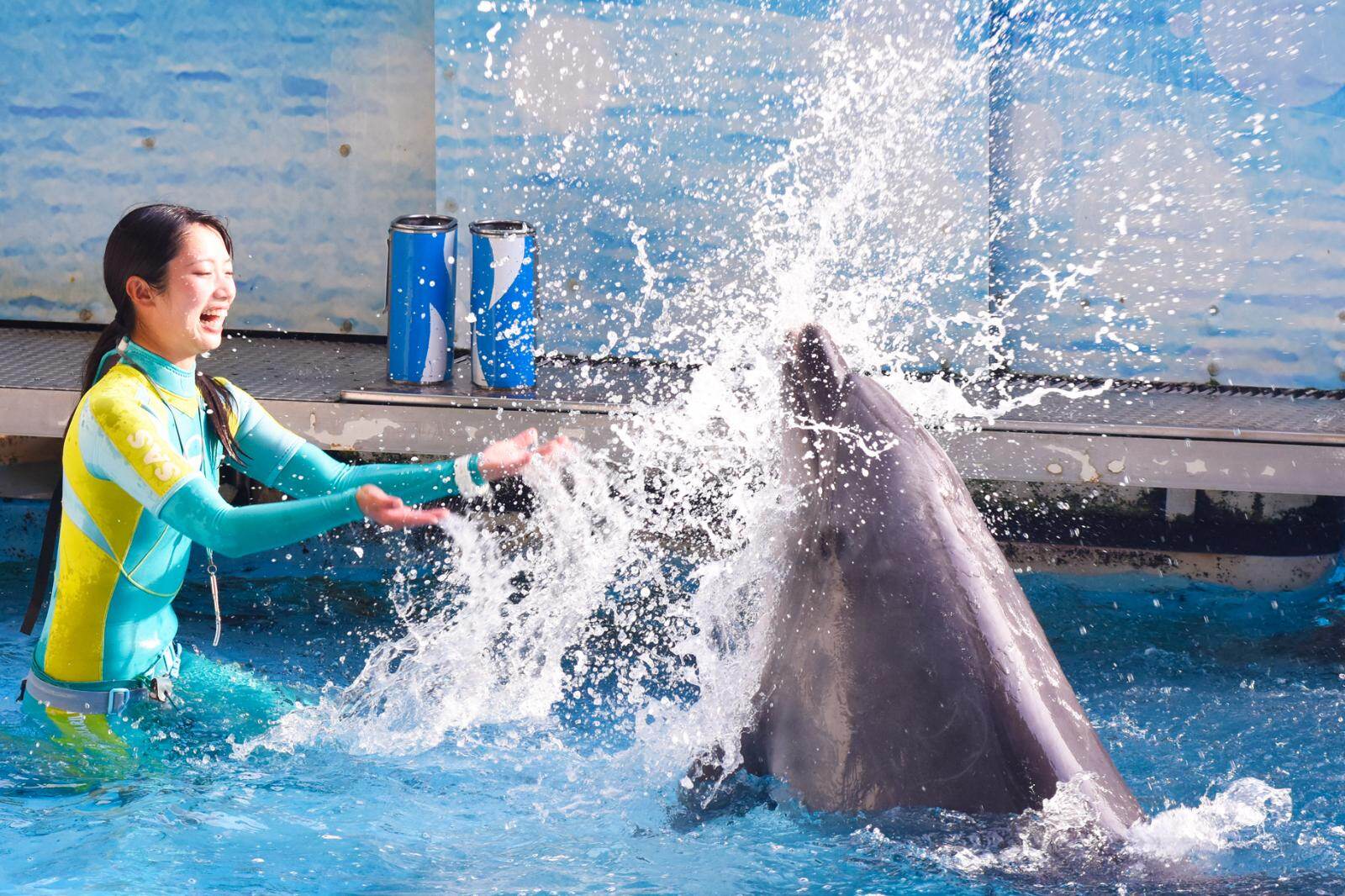 新江ノ島水族館: 2025年7月4日〜2025年9月30日開催