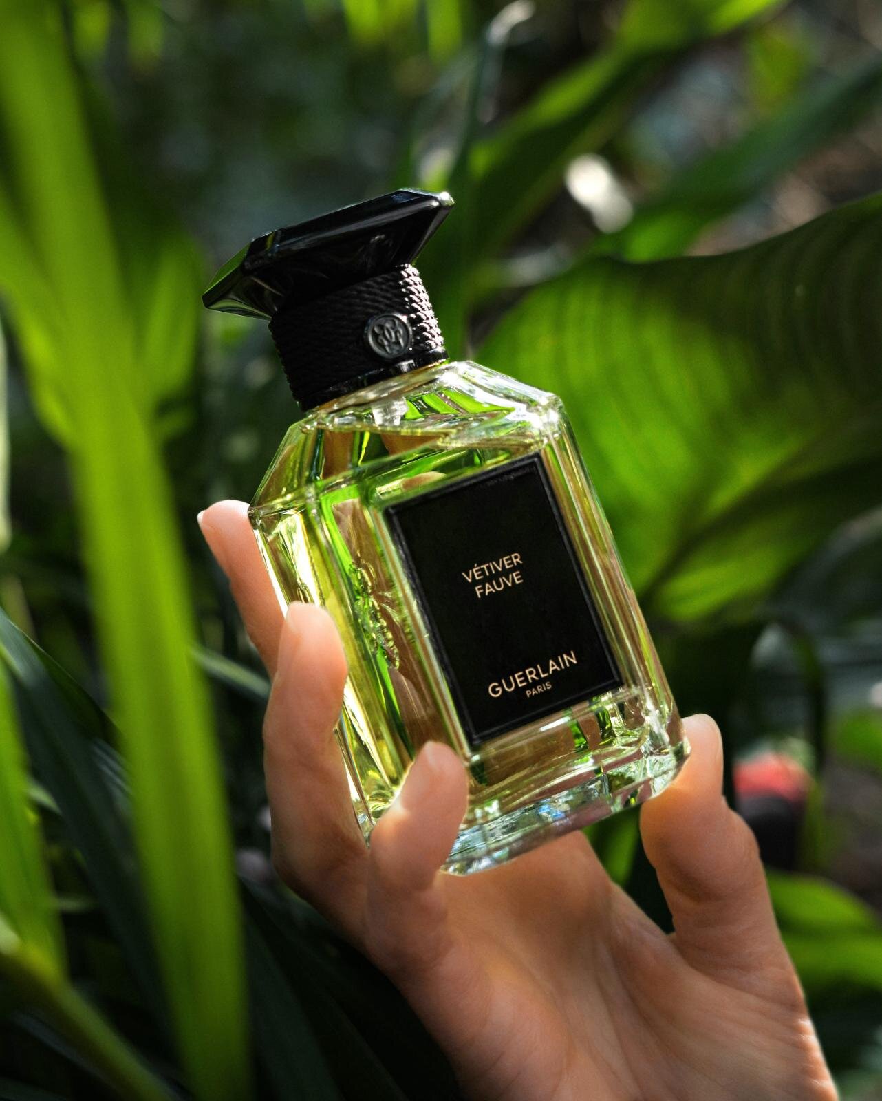 ゲラン ベチバー オードトワレ 100ml ベチバーオーデトワレ(ゲラン)の通販・口コミ | 化粧品・コスメ