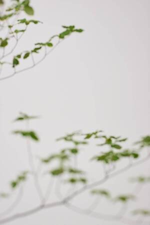 ソワメム(SOI-MeME) 2025-26年秋冬ウィメンズコレクション  - 写真8