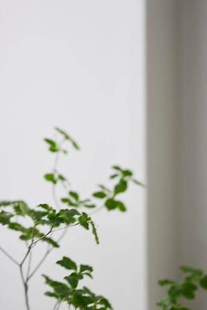 ソワメム(SOI-MeME) 2025-26年秋冬ウィメンズコレクション  - 写真20