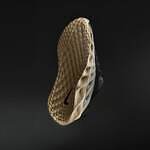 ナイキ(NIKE) エイバ ローバー｜写真2